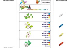 Kl-Blumen 06.pdf